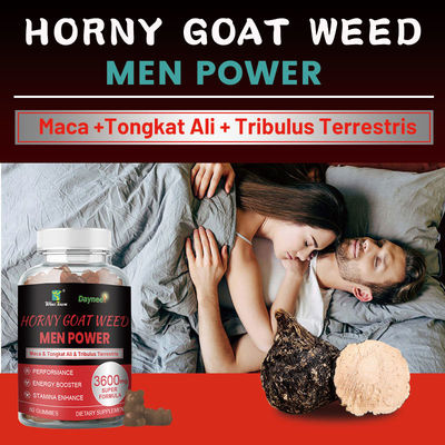 Forever Multi Maca Gummy Candy Ανδρική Ενίσχυση για μακροχρόνια ενέργεια και δύναμη