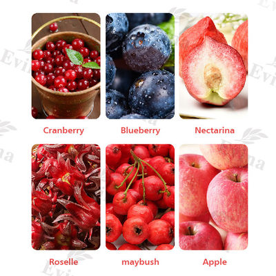 Τσάι αποτοξίνωσης Yoni 100% φυσικό και υψηλής αντοχής με βατόμουρο 24 μήνες διάρκεια ζωής